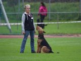 5 Rassen Chip 2 2013-09-29 309